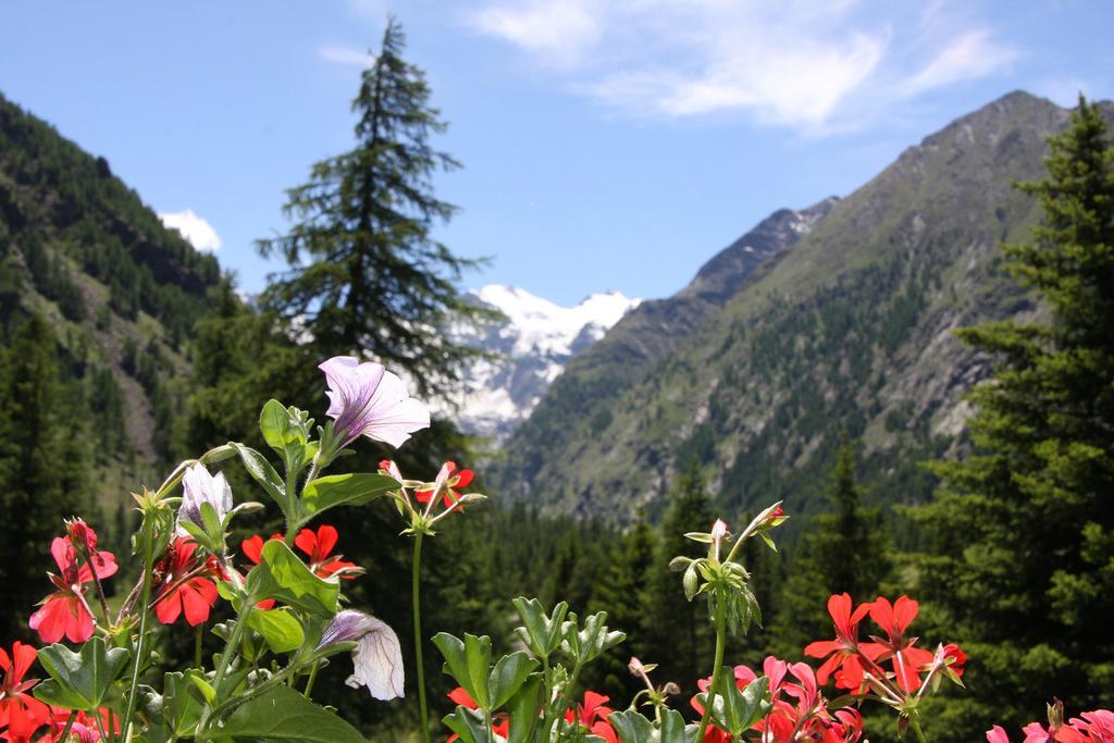 Green Hotel Herbetet Cogne Exterior photo